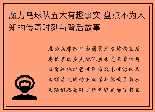 魔力鸟球队五大有趣事实 盘点不为人知的传奇时刻与背后故事